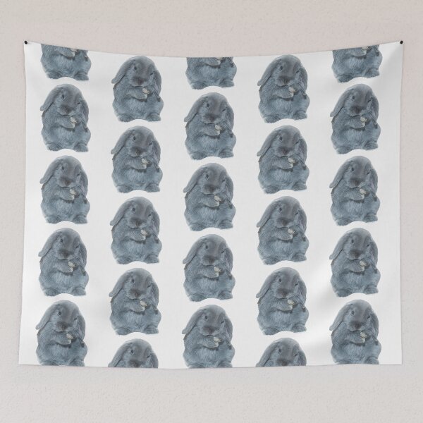 Item preview, A Grey Mini Lop Bunny Rabbit Art designed and sold by CarnageC.