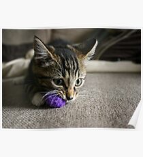 Purple Ball Poster