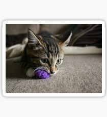 Purple Ball Sticker