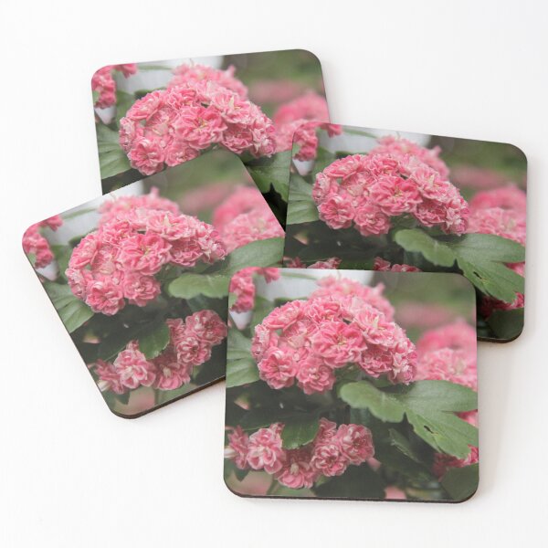 Item preview, Pink haw thorn apple May flowering tree	 designed and sold by EstelleRossetti.