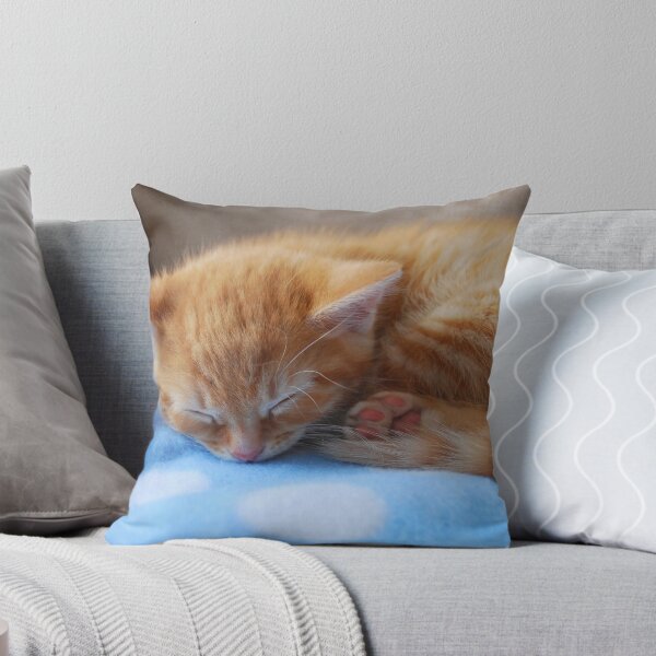 Item preview, Kitten at 8 weeks designed and sold by GreyFeatherPhot.