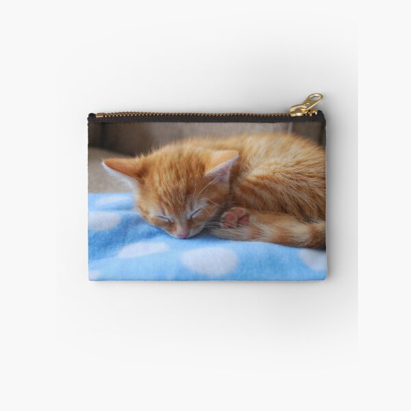 Item preview, Kitten at 8 weeks designed and sold by GreyFeatherPhot.