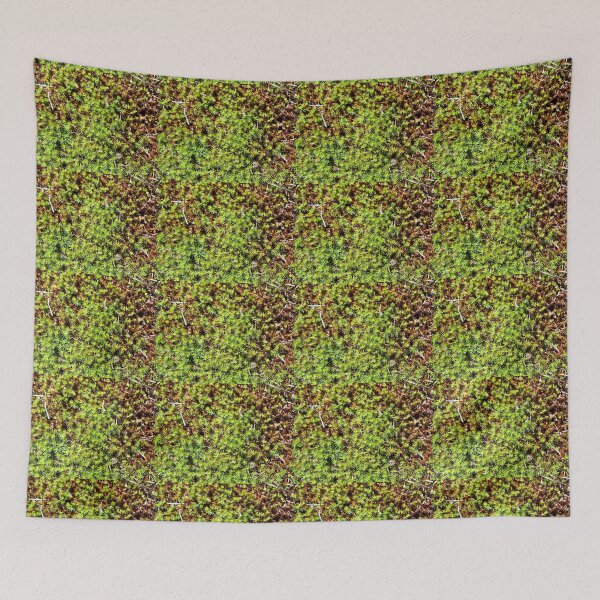 Item preview, Mossy blanket designed and sold by CJGrimes.