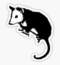 Possum Opossum Sticker