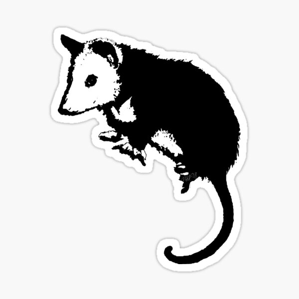 Possum Opossum Sticker