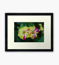 Sidewalk Blooms Framed Print