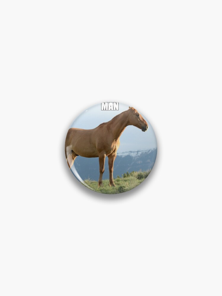 Man Horse Meme Pin By Forestwarden332 Redbubble