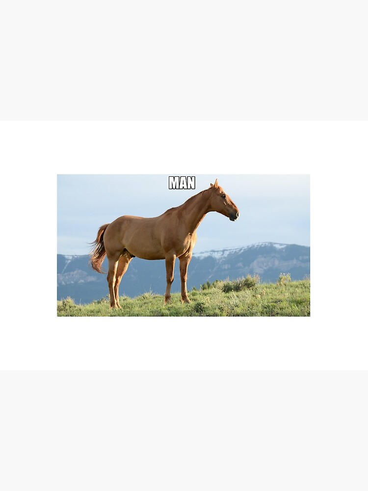 Man Horse Meme Art Board Print By Forestwarden332 Redbubble