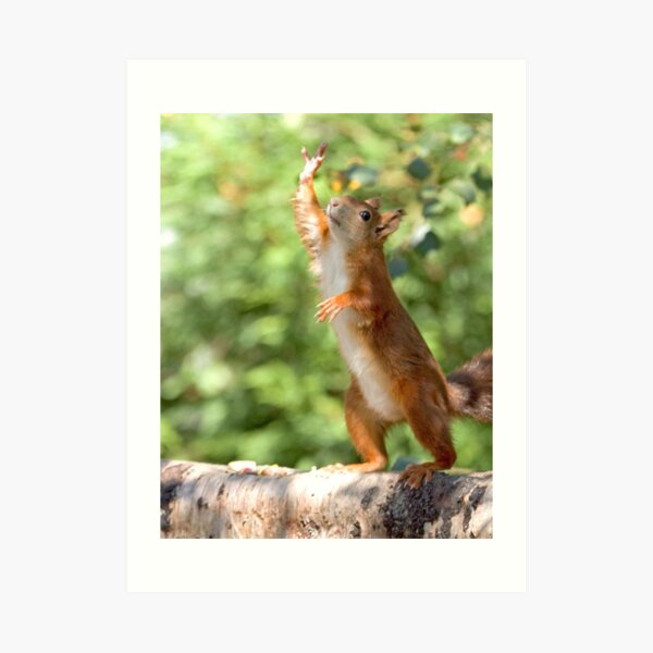 High four! Art Print