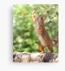 High four! Metal Print