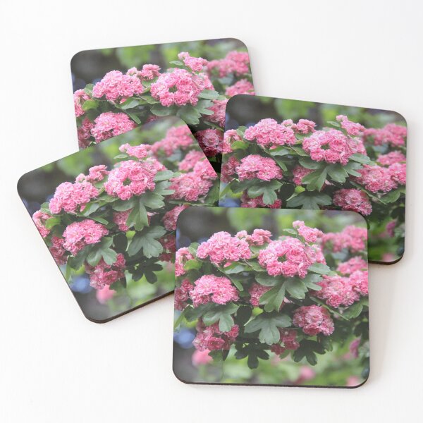 Item preview, Pink haw thorn apple May flowering tree	 designed and sold by EstelleRossetti.