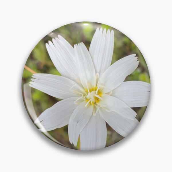 Item preview, Desert Chicory designed and sold by GraceSage.