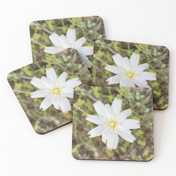 Item preview, Desert Chicory designed and sold by GraceSage.