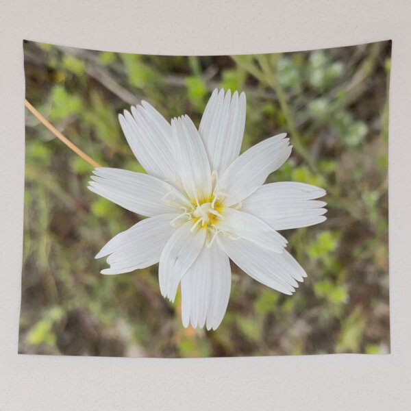 Item preview, Desert Chicory designed and sold by GraceSage.