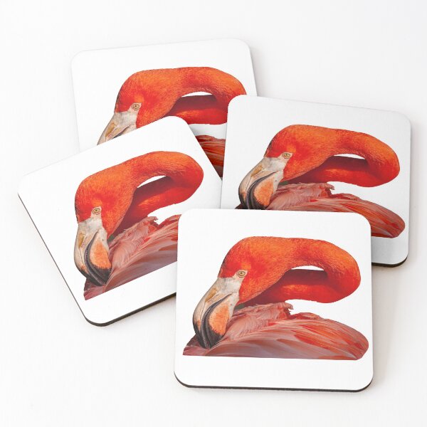 Item preview, Caribbean flamingo in the Pink designed and sold by Dalyndigital Photography.