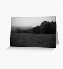 Barren Greeting Card