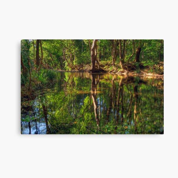 Bellingen Beauty. Canvas Print