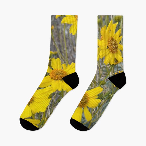 Item preview, Brittlebrush Flowers designed and sold by GraceSage.