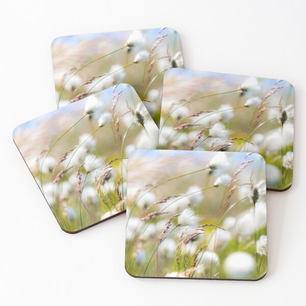 Item preview, Cottongrass on the Peak District moors designed and sold by Geoff Shoults.