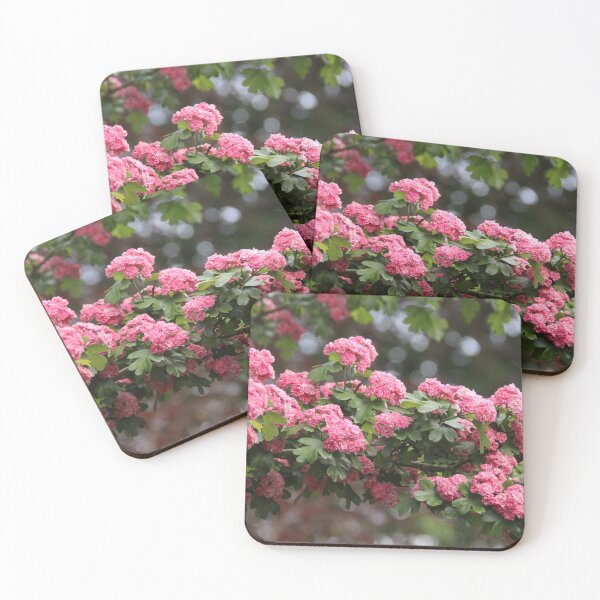 Item preview, Pink haw thorn apple May flowering tree	 designed and sold by EstelleRossetti.