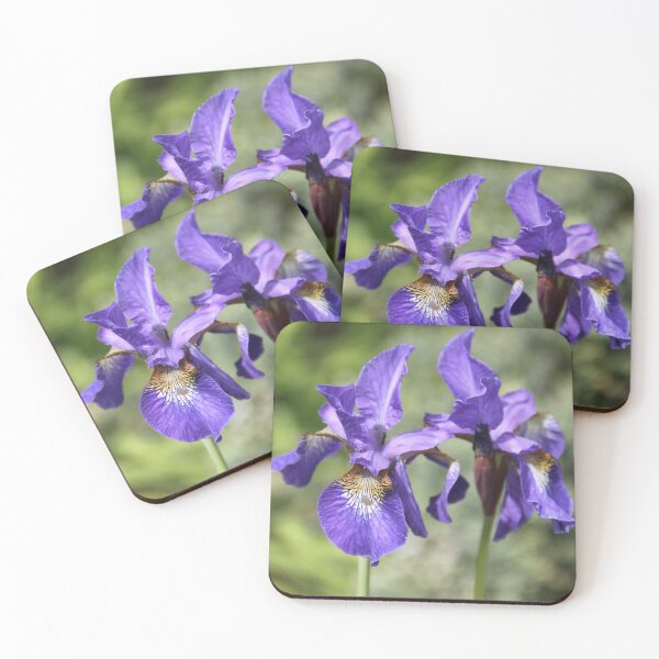 Item preview, Iris versicolor blue spring flower	 designed and sold by EstelleRossetti.
