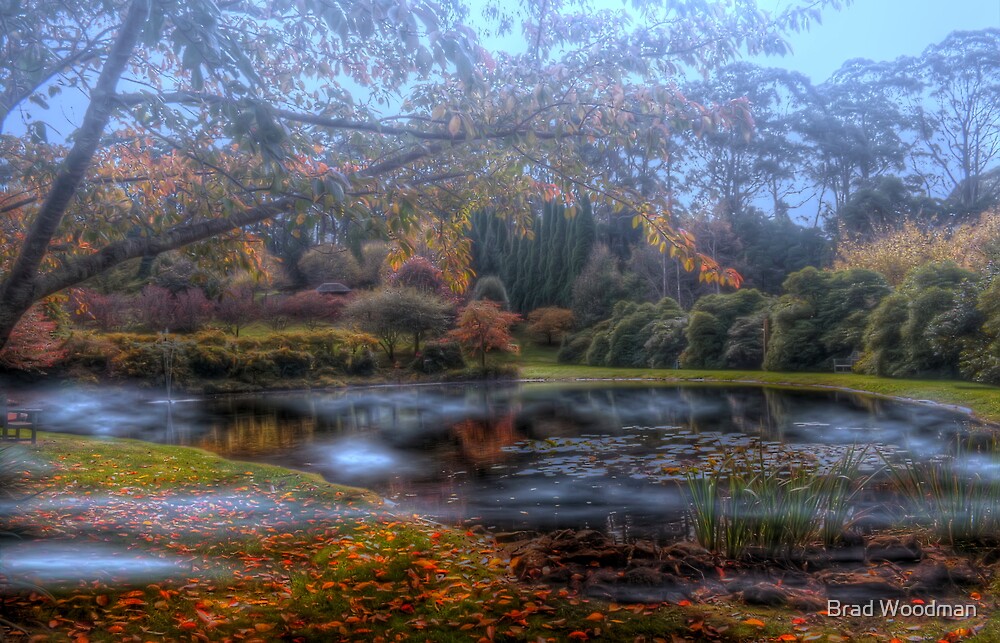 "Bisley Gardens Mt Wilson NSW Australia" by Brad Woodman Redbubble