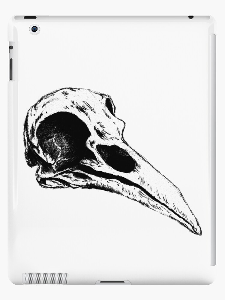 Vintage Style Art Picture Crow Skull Gothic Bones Wall 