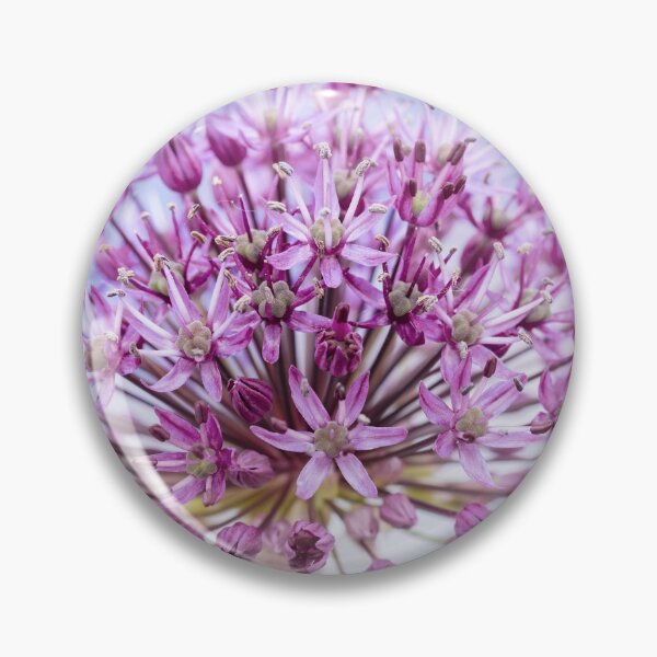 Item preview, Allium designed and sold by John Ray.
