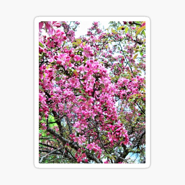 Item preview, In Full Bloom designed and sold by CJGrimes.
