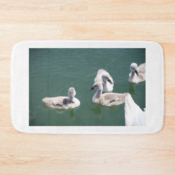 Item preview, Juvenile swans grey feathers on the lake designed and sold by EstelleRossetti.