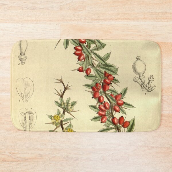 Item preview, Berberis stapfiana 143 8701 designed and sold by EsotericBotanic.