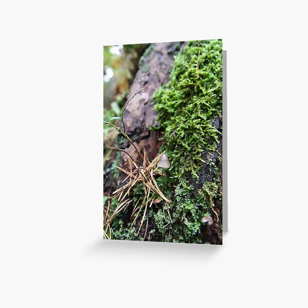 Mini World Greeting Card