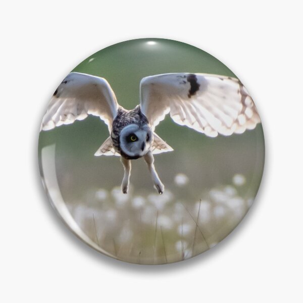 Item preview, shortie hunting in the sun  designed and sold by tammy mellor.
