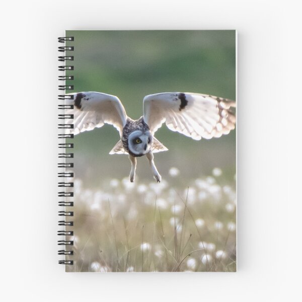 Item preview, shortie hunting in the sun  designed and sold by tammy mellor.