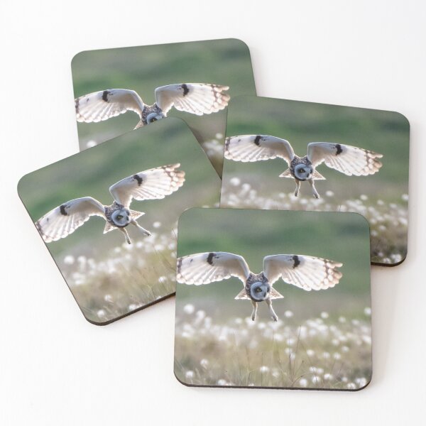Item preview, shortie hunting in the sun  designed and sold by tammy mellor.
