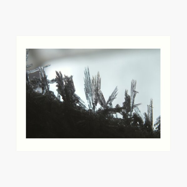 Ice Crystals Art Print