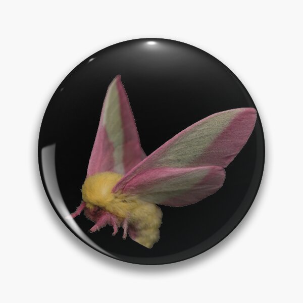 Item preview, Fuzzy Moth designed and sold by audrey-houlis.