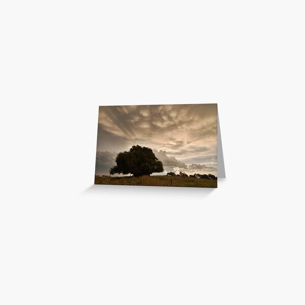 Mt Eccles farm, South Gippsland - December 2011 Greeting Card