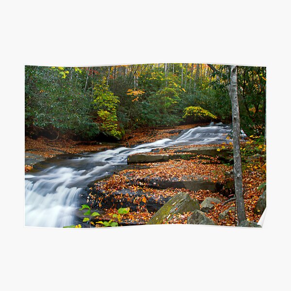 Autumn Flow Poster