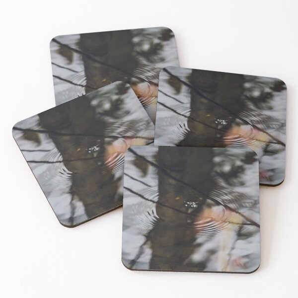 Item preview, Pond Skater designed and sold by Bill Slader.