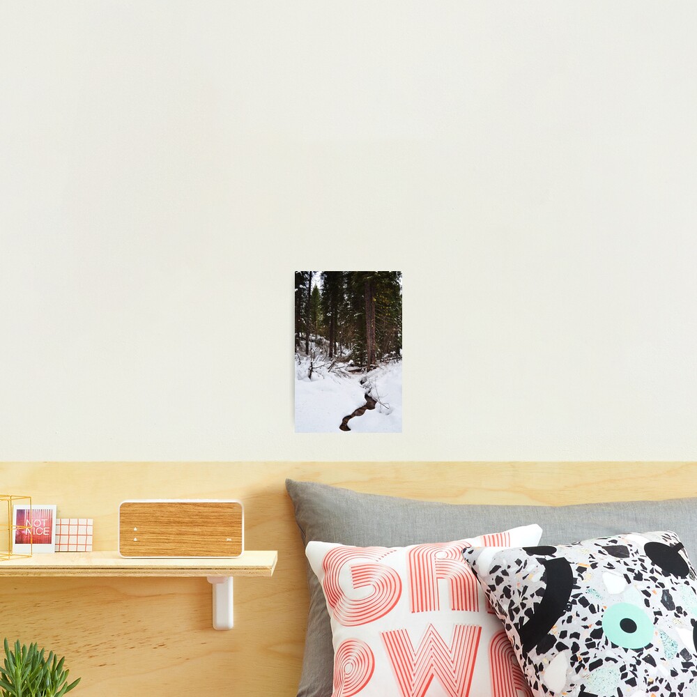 Vista previa del artículo con la obra «Lámina fotográfica», diseñado y vendido por CADavis.