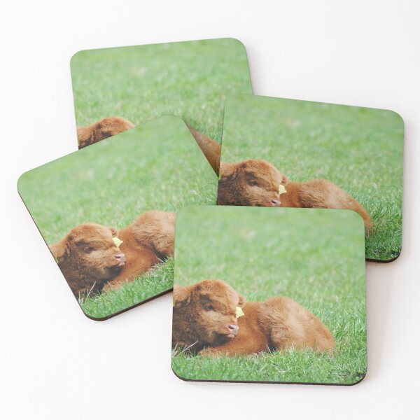 Item preview, Scottish highland cattle - calf designed and sold by Glineur.
