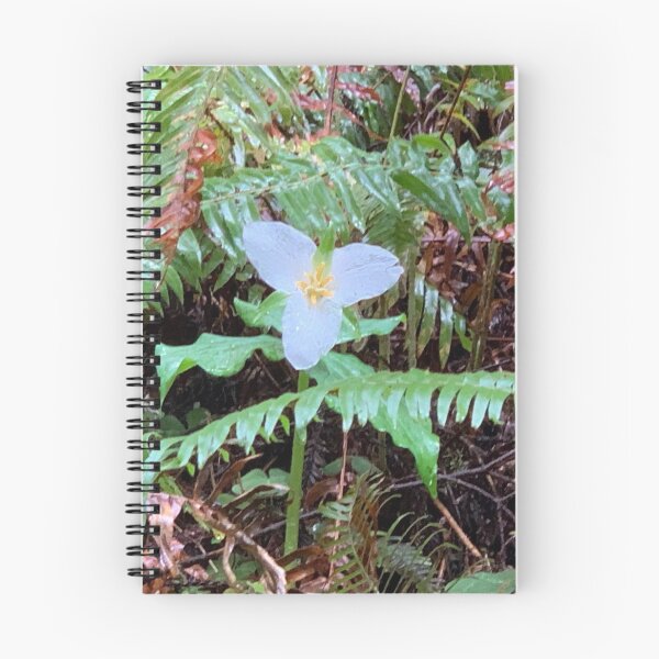 Item preview, Trillium designed and sold by GraceSage.