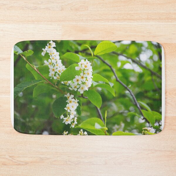 Item preview, Blossoming bird cherry. Flowers bird cherry tree. Branch of bird cherry in front of blue sky. Copy space. Flowering bird cherry tree.  designed and sold by Kizuneko.