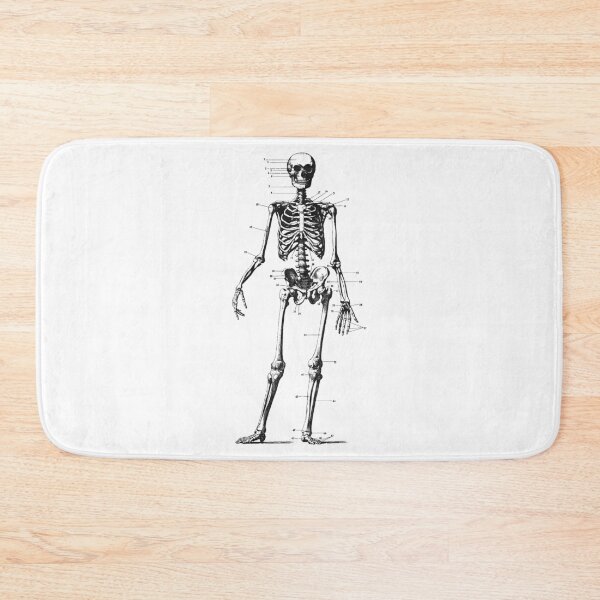 Item preview, Human Skeleton Engraving designed and sold by GBREAL01.