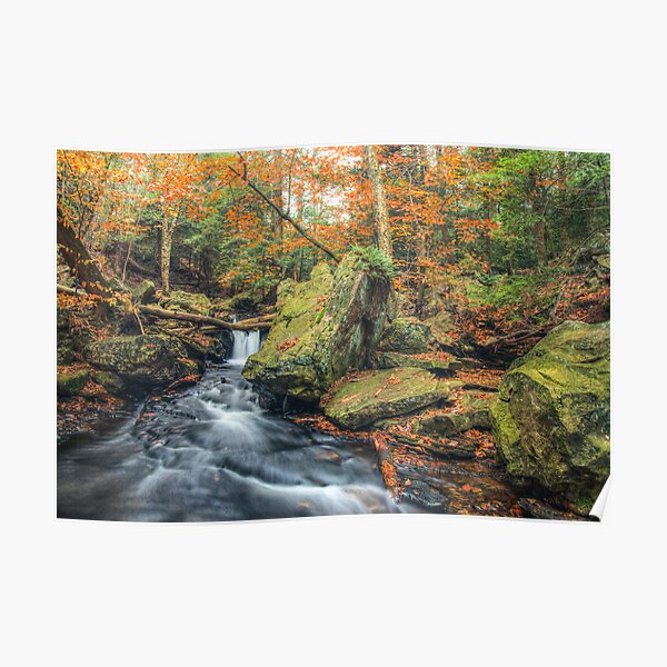 Above Mohawk Falls October 2012 Poster