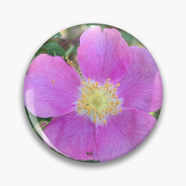 Item preview, Wild Rose designed and sold by GraceSage.