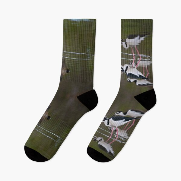 Item preview, Wading Bird Reflections designed and sold by Caitlin Chock.