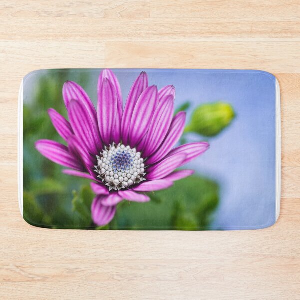 Item preview, Cape Daisy. designed and sold by John Ray.