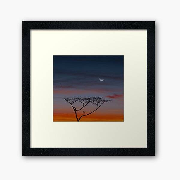 Item preview, Moonrise Over An Albizia Tree. designed and sold by Alex Preiss.